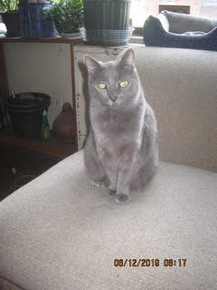 Coopie at Puala's PRINT THIS